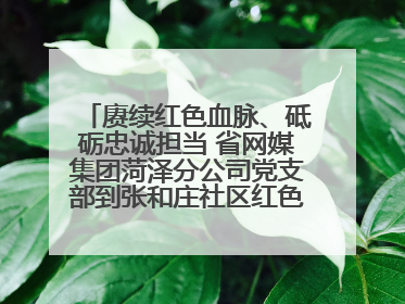 赓续红色血脉、砥砺忠诚担当 省网媒集团菏泽分公司党支部到张和庄社区红色基因传承馆开展主题党日活动